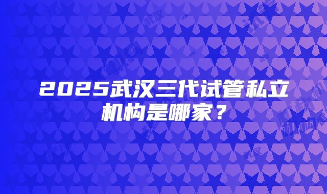 2025武汉三代试管私立机构是哪家?
