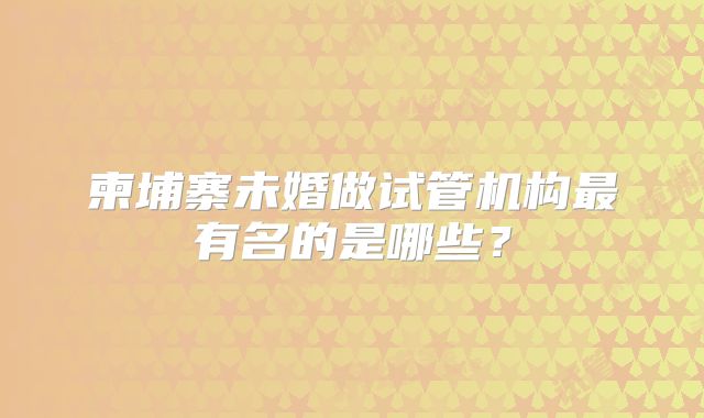 柬埔寨未婚做试管机构最有名的是哪些?