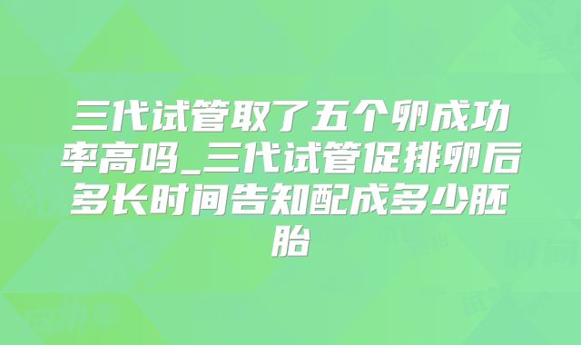 三代试管取了五个卵成功率高吗_三代试管促排卵后多长时间告知配成多少胚胎