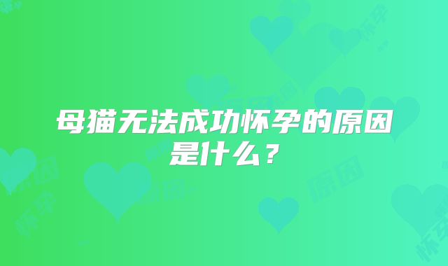 母猫无法成功怀孕的原因是什么？