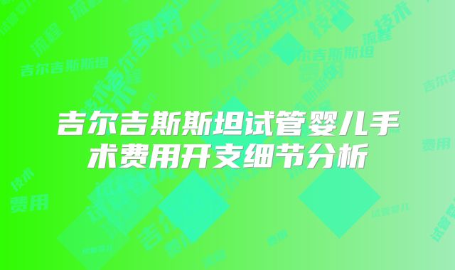 吉尔吉斯斯坦试管婴儿手术费用开支细节分析