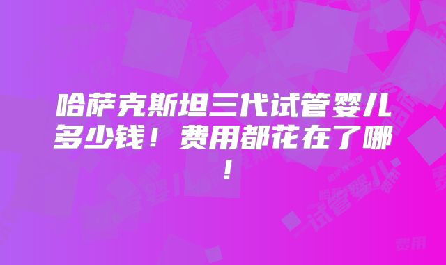 哈萨克斯坦三代试管婴儿多少钱!费用都花在了哪!