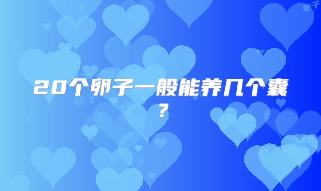 20个卵子一般能养几个囊?