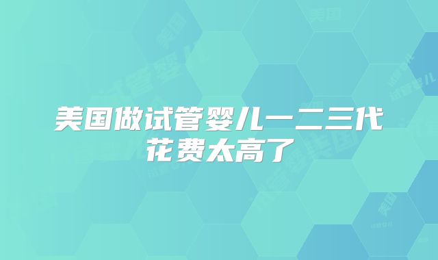美国做试管婴儿一二三代花费太高了