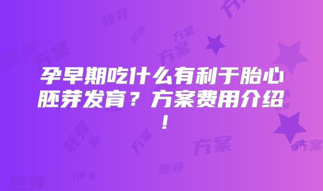 孕早期吃什么有利于胎心胚芽发育？方案费用介绍！