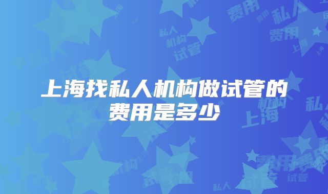 上海找私人机构做试管的费用是多少