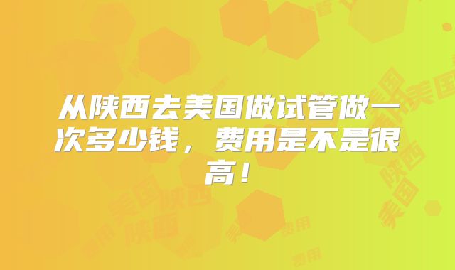 从陕西去美国做试管做一次多少钱,费用是不是很高!