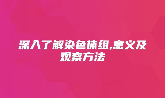 深入了解染色体组,意义及观察方法