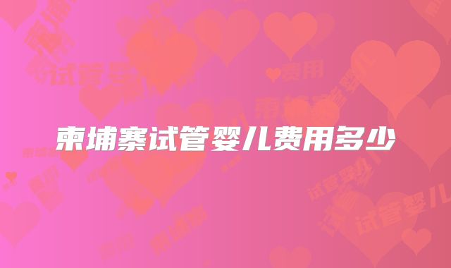 柬埔寨试管婴儿费用多少