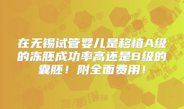 在无锡试管婴儿是移植A级的冻胚成功率高还是B级的囊胚!附全面费用!