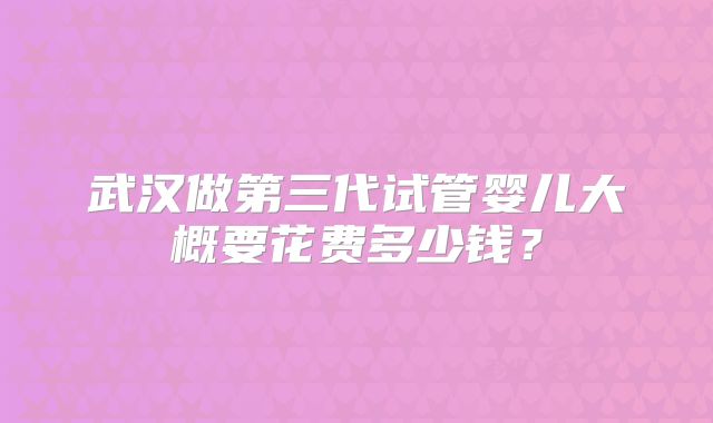 武汉做第三代试管婴儿大概要花费多少钱？