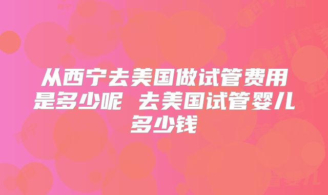 从西宁去美国做试管费用是多少呢 去美国试管婴儿多少钱