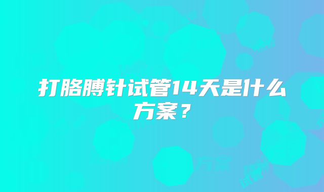 打胳膊针试管14天是什么方案？
