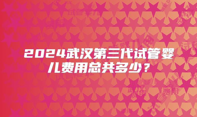 2024武汉第三代试管婴儿费用总共多少？