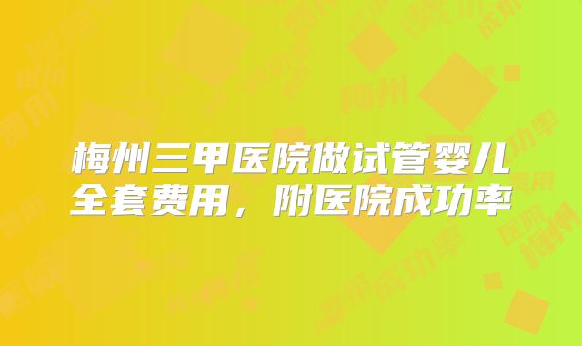 梅州三甲医院做试管婴儿全套费用,附医院成功率