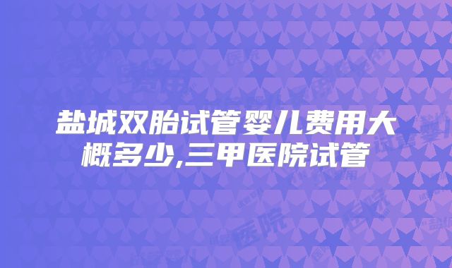 盐城双胎试管婴儿费用大概多少,三甲医院试管