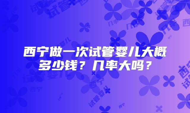 西宁做一次试管婴儿大概多少钱?几率大吗?