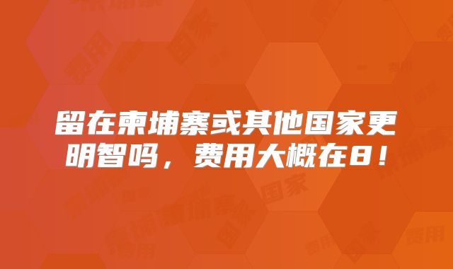 留在柬埔寨或其他国家更明智吗，费用大概在8！