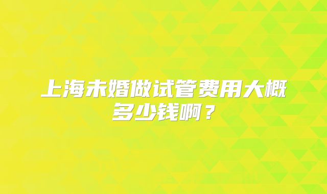 上海未婚做试管费用大概多少钱啊？