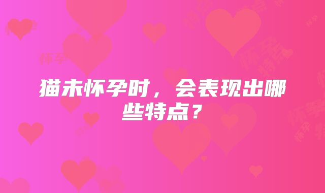 猫未怀孕时,会表现出哪些特点?