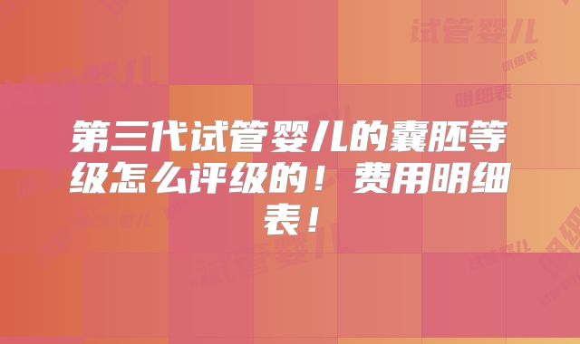 第三代试管婴儿的囊胚等级怎么评级的!费用明细表!