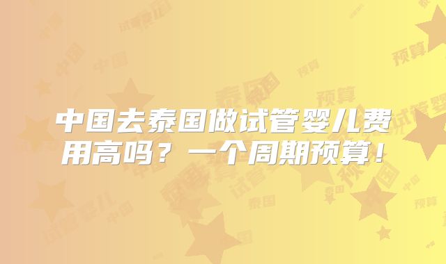 中国去泰国做试管婴儿费用高吗？一个周期预算！