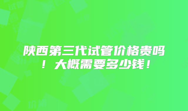 陕西第三代试管价格贵吗!大概需要多少钱!