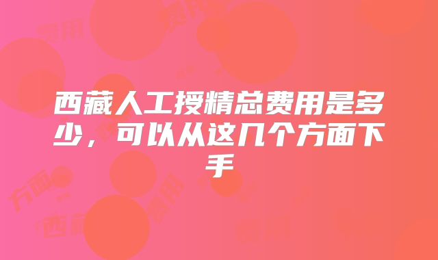 西藏人工授精总费用是多少,可以从这几个方面下手