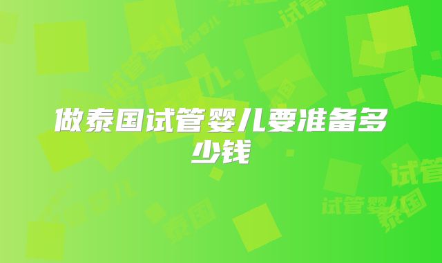 做泰国试管婴儿要准备多少钱