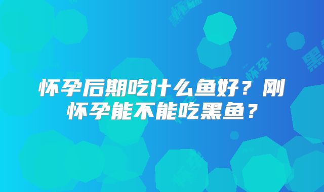 怀孕后期吃什么鱼好?刚怀孕能不能吃黑鱼?