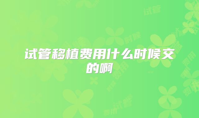 试管移植费用什么时候交的啊