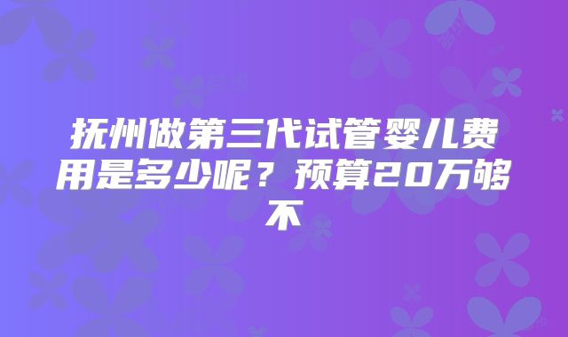 抚州做第三代试管婴儿费用是多少呢?预算20万够不