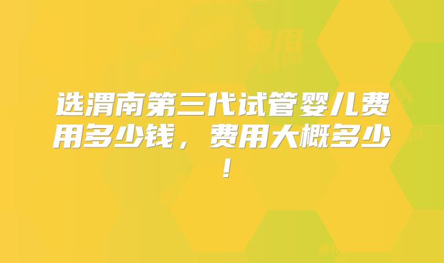 选渭南第三代试管婴儿费用多少钱，费用大概多少！