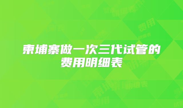 柬埔寨做一次三代试管的费用明细表
