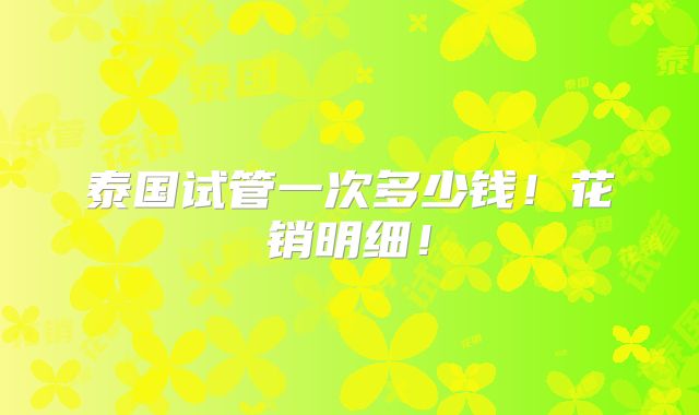 泰国试管一次多少钱!花销明细!