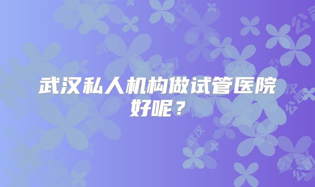 武汉私人机构做试管医院好呢?