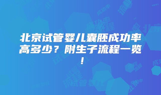 北京试管婴儿囊胚成功率高多少?附生子流程一览!