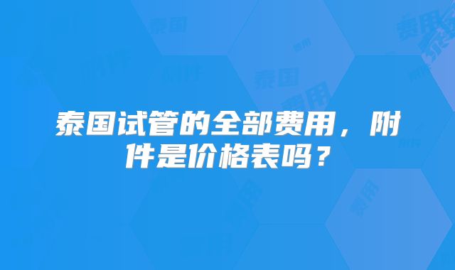 泰国试管的全部费用,附件是价格表吗?
