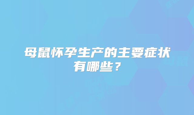 母鼠怀孕生产的主要症状有哪些?