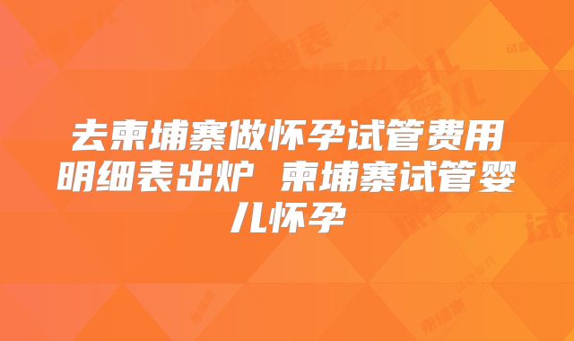 去柬埔寨做怀孕试管费用明细表出炉 柬埔寨试管婴儿怀孕