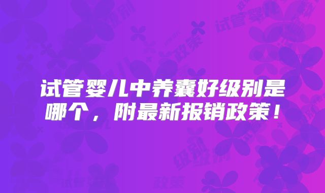试管婴儿中养囊好级别是哪个,附最新报销政策!