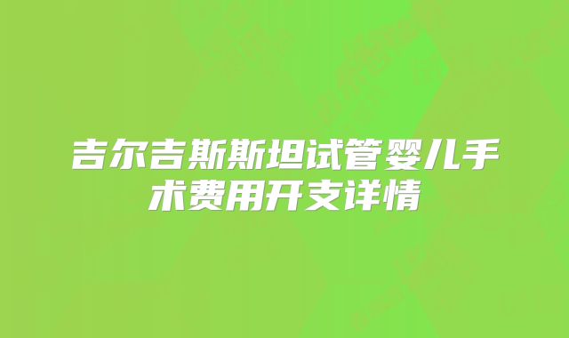 吉尔吉斯斯坦试管婴儿手术费用开支详情
