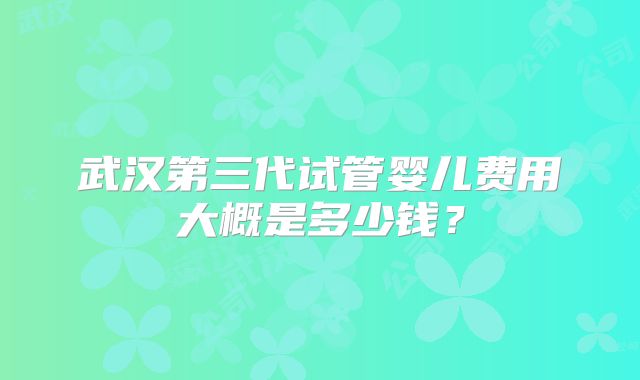 武汉第三代试管婴儿费用大概是多少钱?