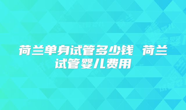 荷兰单身试管多少钱 荷兰试管婴儿费用