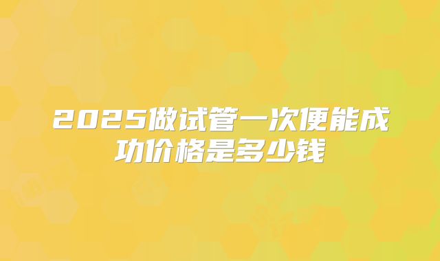 2025做试管一次便能成功价格是多少钱