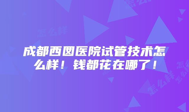 成都西囡医院试管技术怎么样!钱都花在哪了!