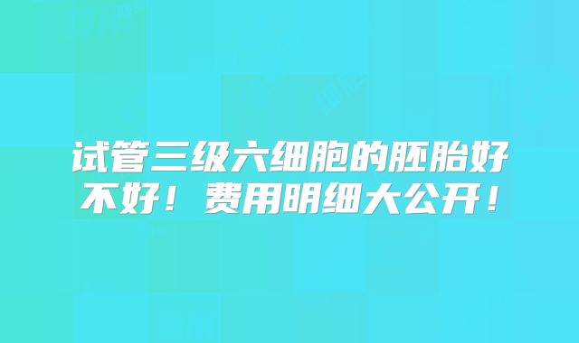 试管三级六细胞的胚胎好不好!费用明细大公开!