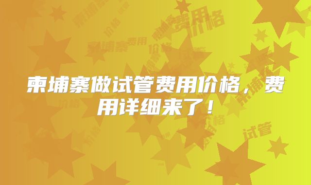 柬埔寨做试管费用价格，费用详细来了！