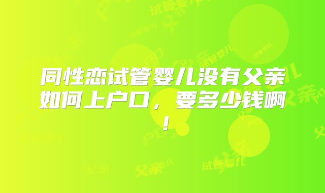 同性恋试管婴儿没有父亲如何上户口,要多少钱啊!