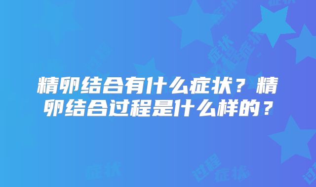 精卵结合有什么症状?精卵结合过程是什么样的?